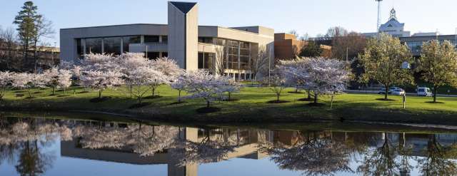 Cover photo for Bachelor of Science in Integrative Studies - Integrative Conservation Concentration