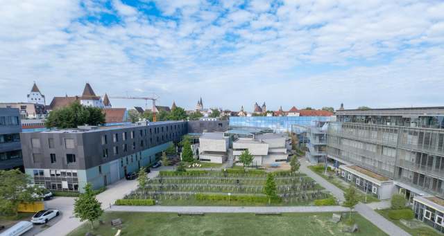 Cover photo for SHIFT Study Sprint Renewable Energy Systems Course