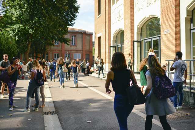 Cover photo for Licenciatura en Ciencias en Gestión Global