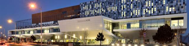 Cover photo for International BBA