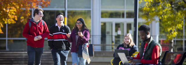 Cover photo for Bachelor of Global and International Studies