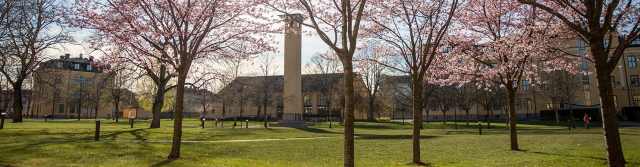 Cover photo for MSc in Intelligent Automation