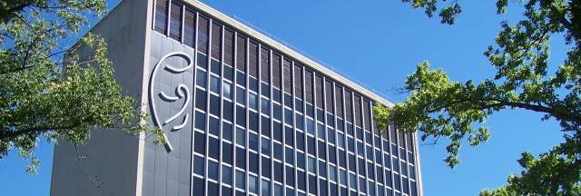 Cover photo for Doctor of Education in Leadership for Organizations