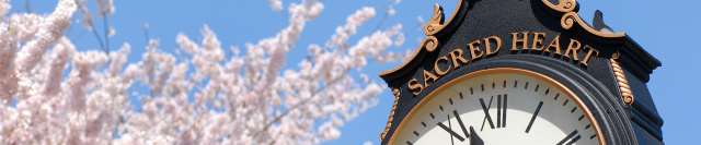 Cover photo for Master of Health Administration