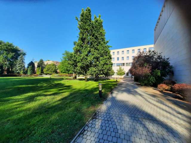 Cover photo for Licencjat z treningu fizycznego