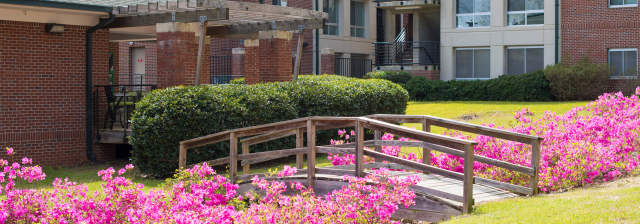 Cover photo for Master of Health Administration