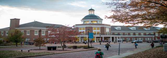 Cover photo for Project Management Graduate Certificate