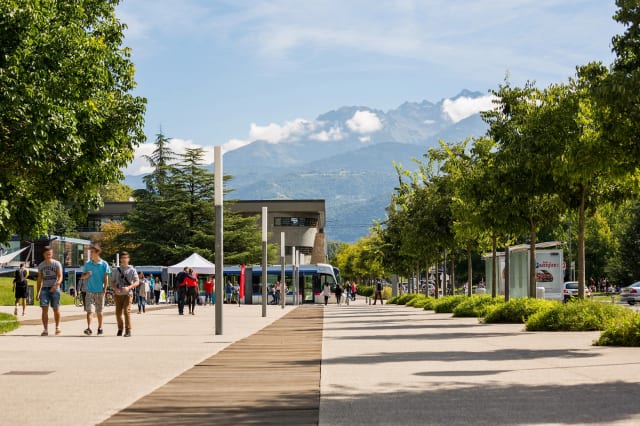 Cover photo for Master Science et génie des matériaux - Programme Bioraffinage et matériaux biosourcés