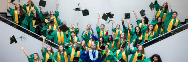 Cover photo for Online MBA in Sustainability Management