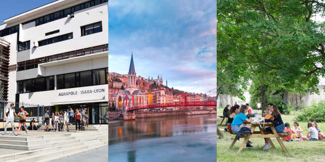 Cover photo for MSc Agroökológia - Rugalmas gazdálkodás