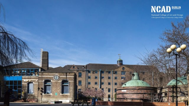 Cover photo for MA/MFA Arte y Acción Social