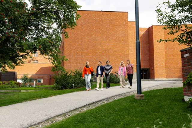 Cover photo for 商业创新与可持续性学士学位