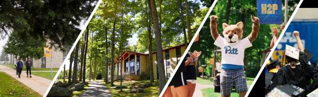 Cover photo for Sociology BA