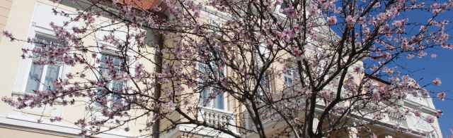 Cover photo for Bachelor in Medicine