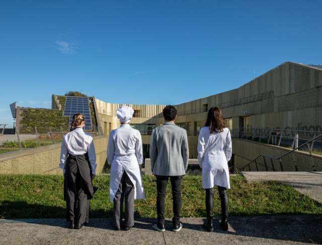 Cover photo for 美食旅游体验设计在线课程