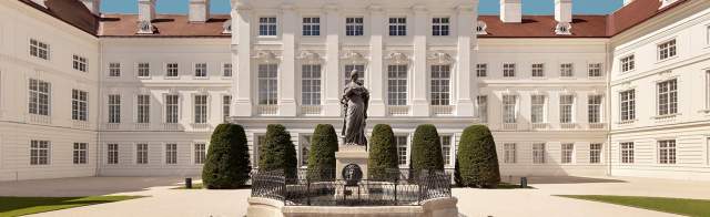 Cover photo for Inflammation and Immunity (PhD Programme)