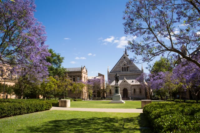 Cover photo for Bachelor of Science