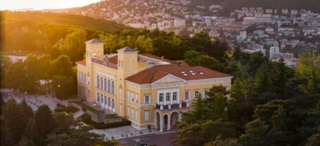 Cover photo for Διαχείριση Επιχειρήσεων Οίνου