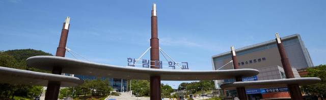 Cover photo for Major in Global Business