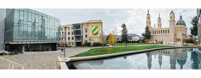 Cover photo for Tax Writing, Research, & Applied AI Certificate