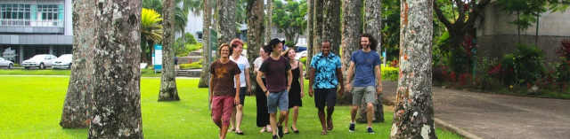 Cover photo for วุฒิการศึกษา: ระดับปริญญาตรี