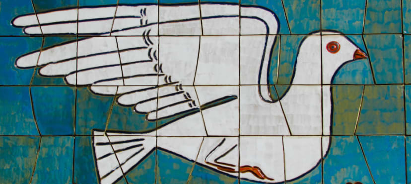 Six Careers for Peace and Conflict Studies Graduates