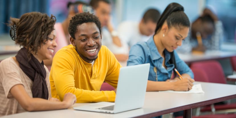 Bachelor's students in the USA