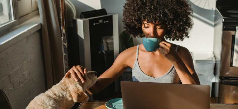 Flexible Jobs with Big Potential