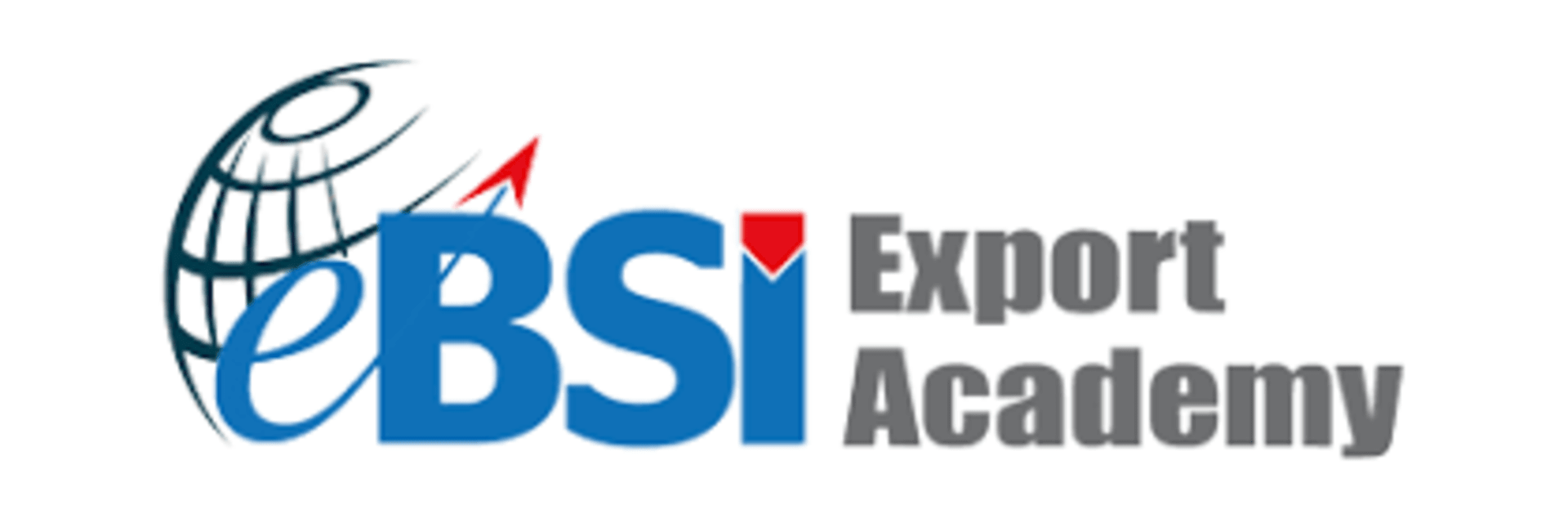 The Electronic Business School International