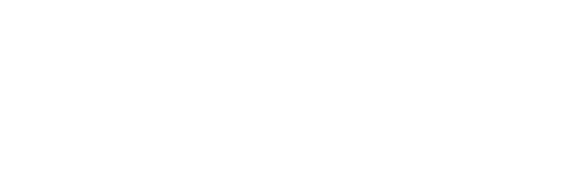 The Institute Of Education