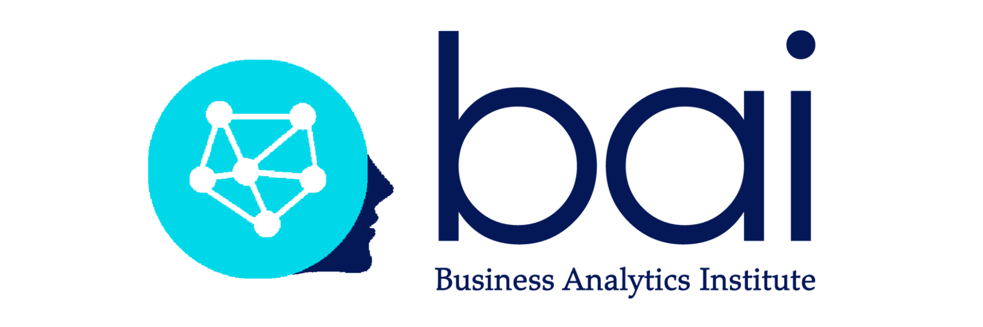 The Business Analytics Institute