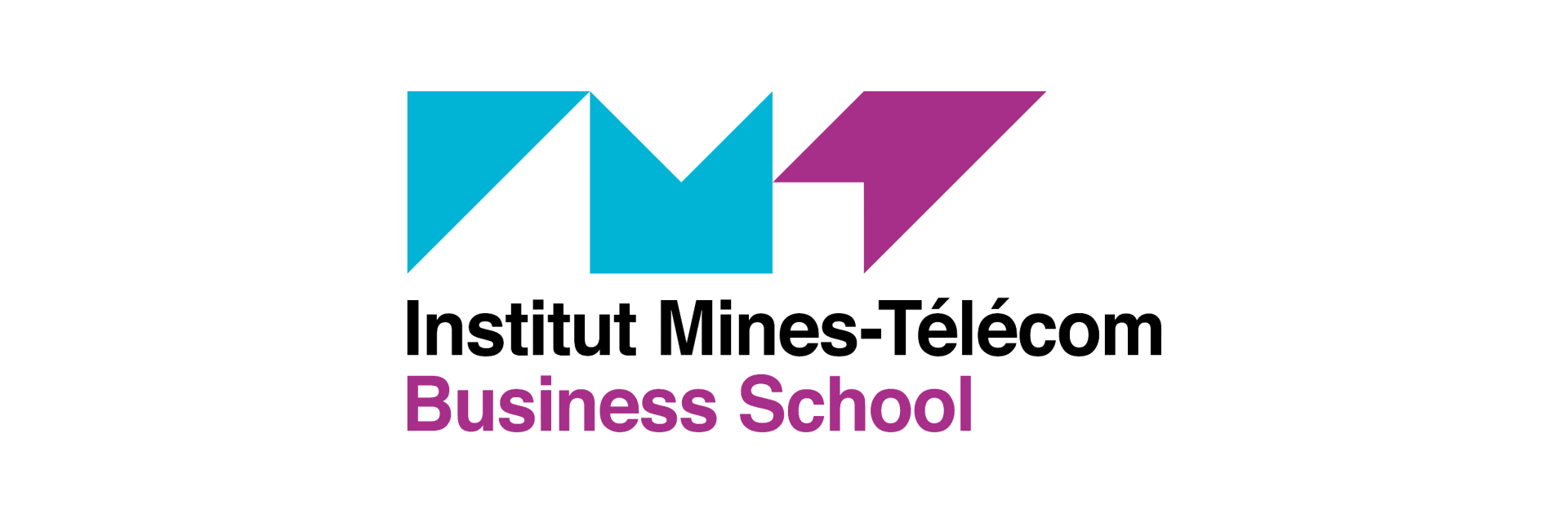 Institut Mines-Telecom Business School