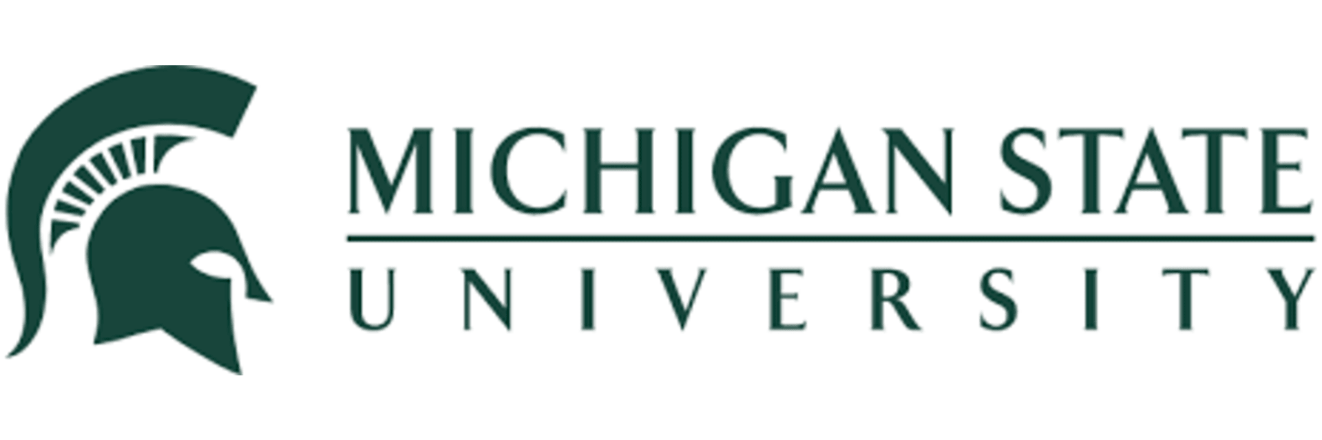 Michigan State University Online