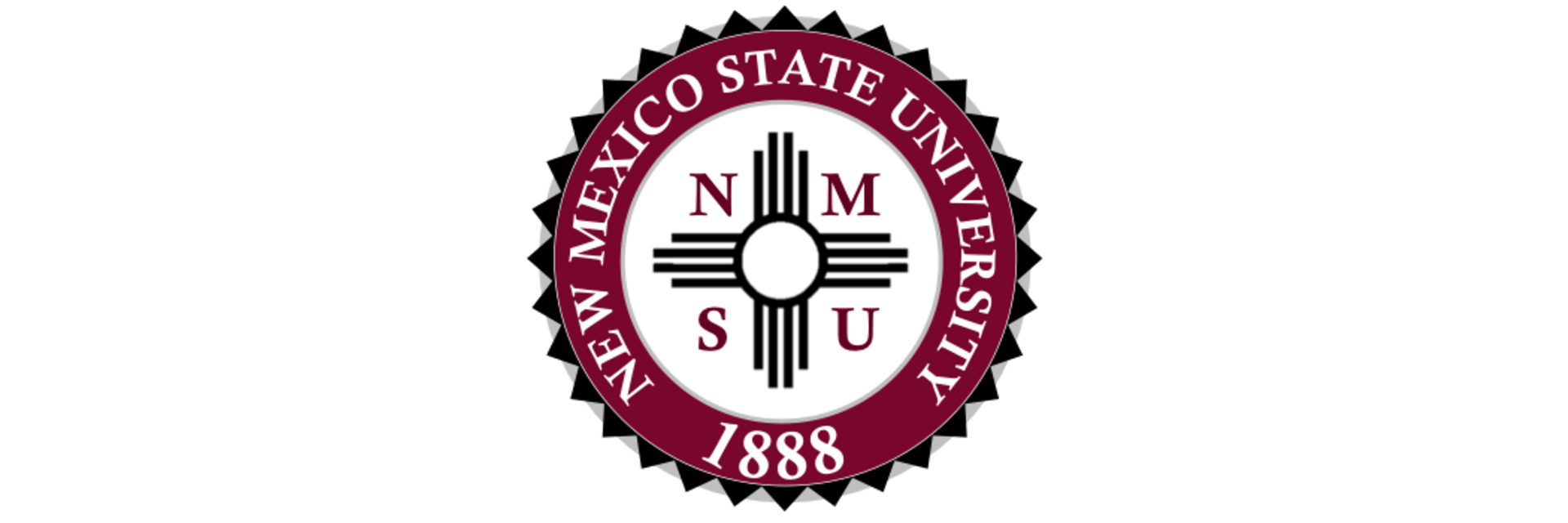 New Mexico State University Online