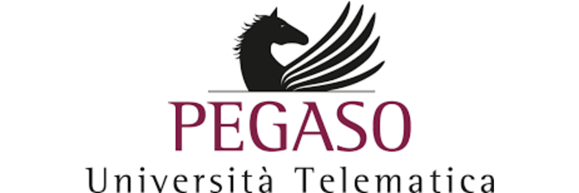 Università Telematica Pegaso
