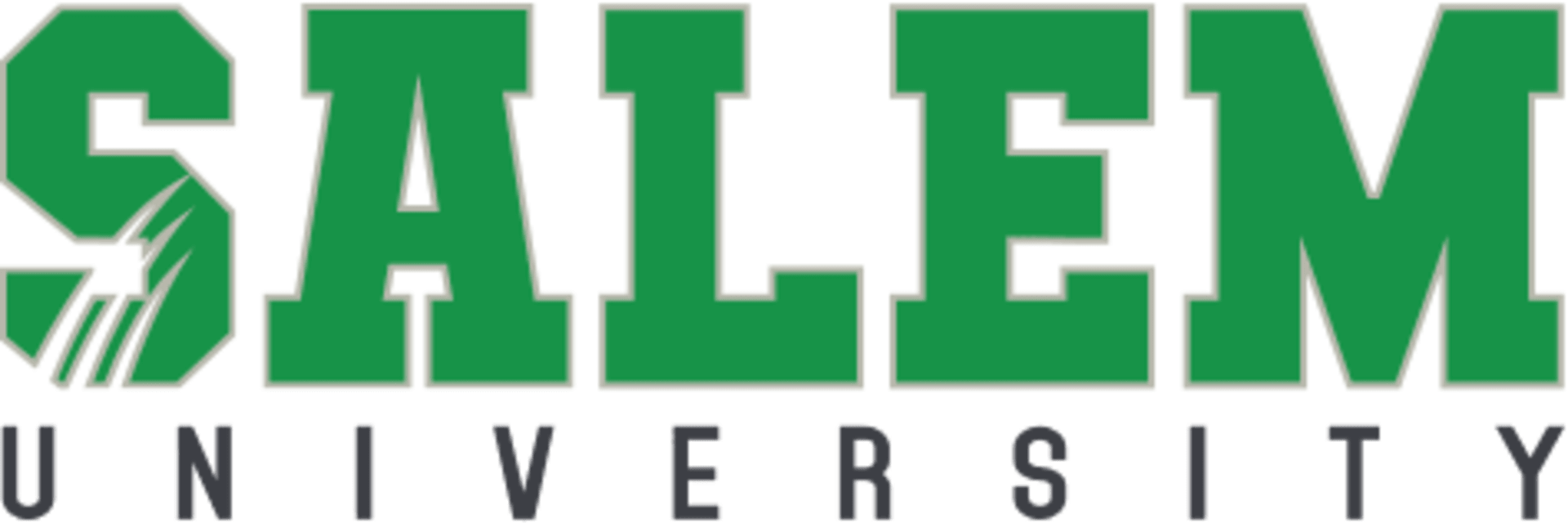 Salem University