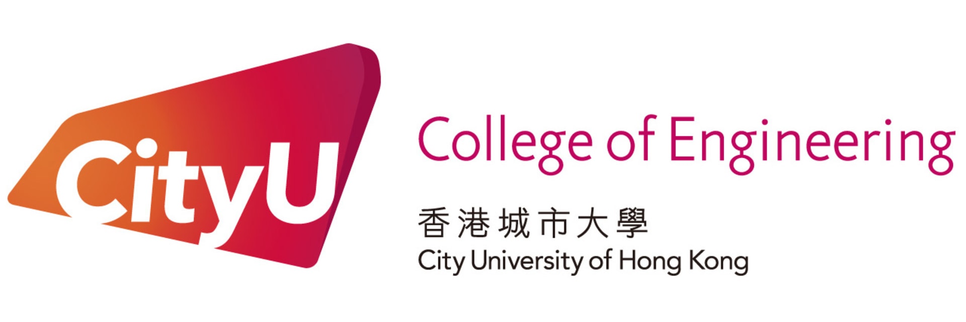 College of Engineering City University of Hong Kong