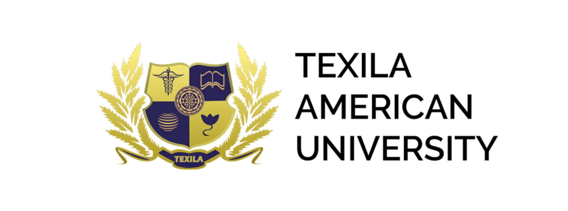 Texila American University