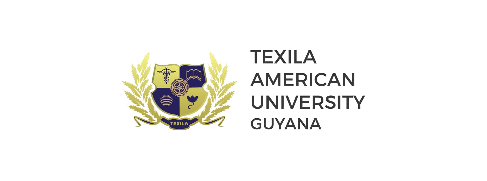 Texila American University