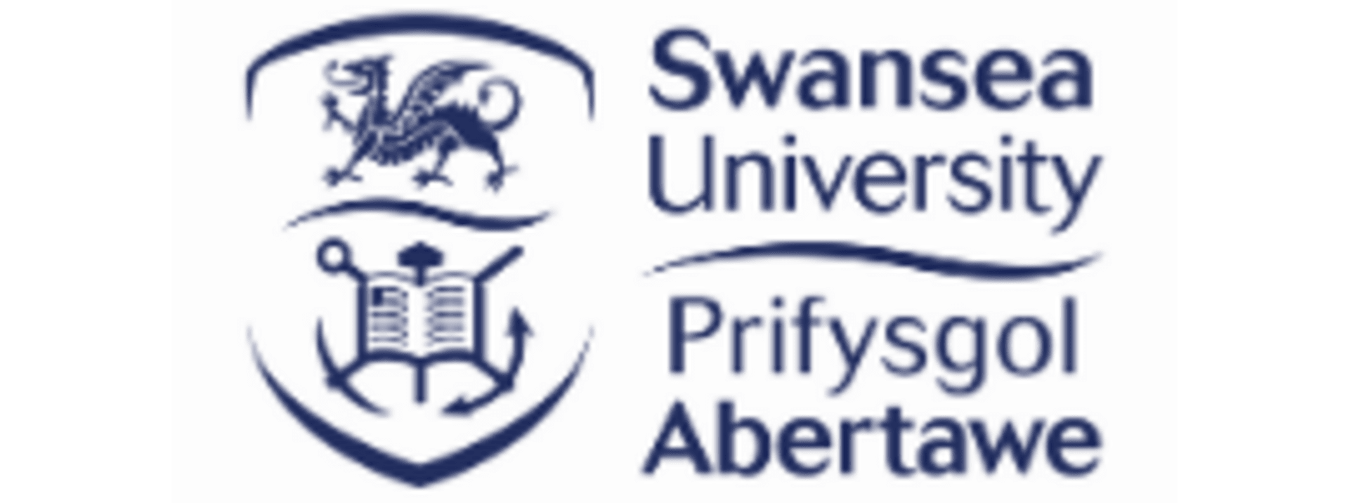 Swansea University