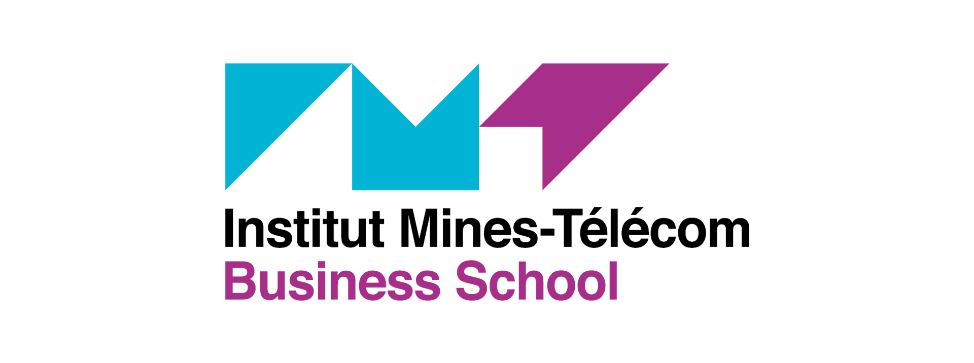 Institut Mines-Telecom Business School