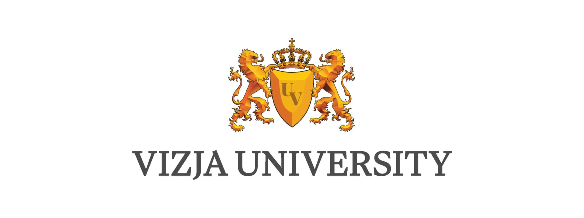 Vizja University