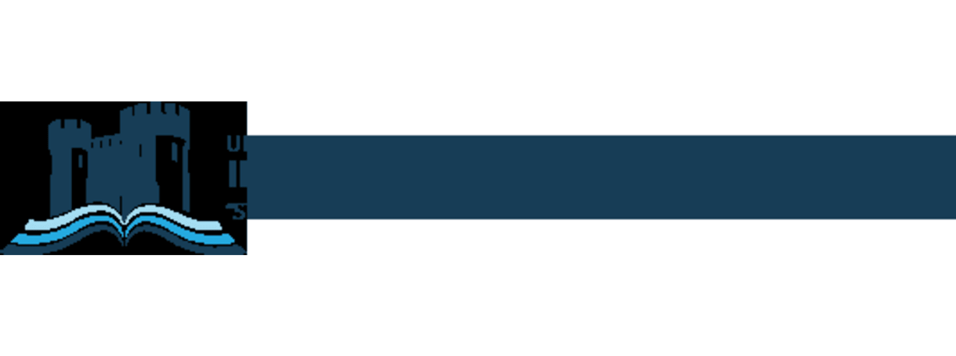 University For Information Science And Technology