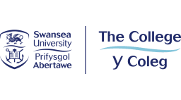 The College, Swansea University