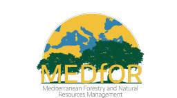 University of Lisbon - Medfor