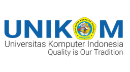 Indonesian Computer University