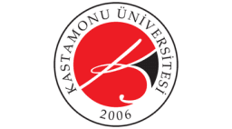 Kastamonu University