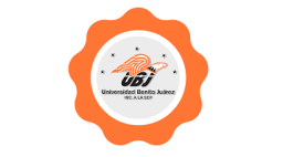Benito Juárez University