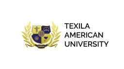 Texila American University