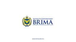 Brima Institute
